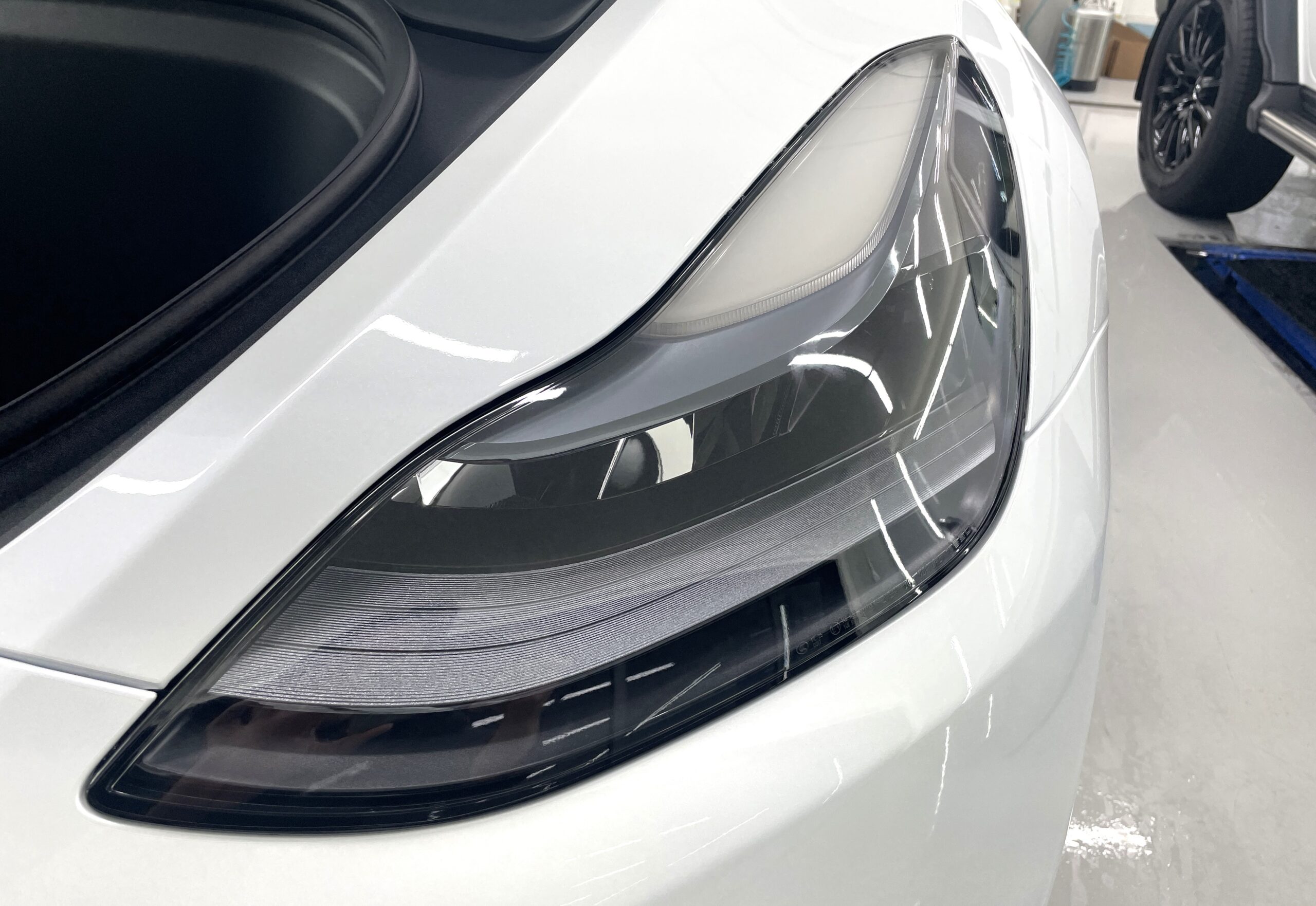 Tesla Model Y protectionfilm テスラ モデルY プロテクションフィルム